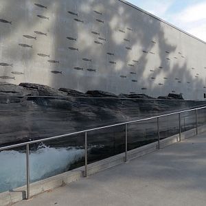 Pacific Seas Aquarium - Exterior - Wave Pool