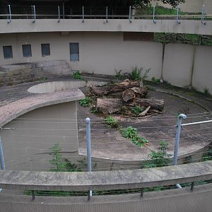 Polar Bear enclosure date 14 09 09