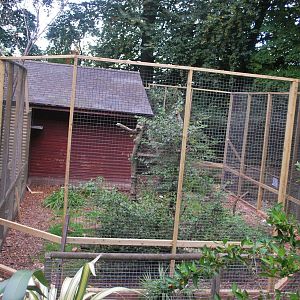 Primate House re structure