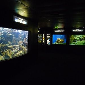 National Aquarium Washington