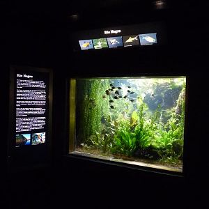 National Aquarium Washington