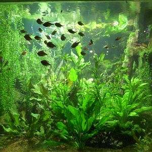 National Aquarium Washington