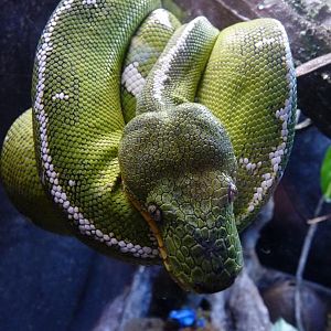 National Aquarium Washington