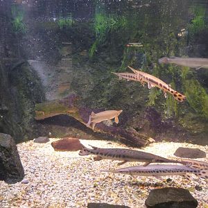 National Aquarium Washington