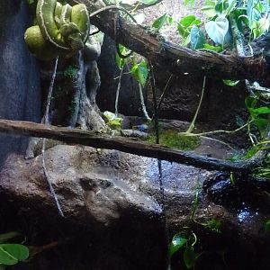 National Aquarium Washington