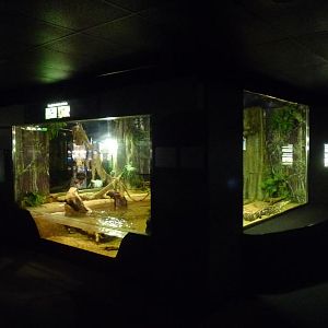 National Aquarium Washington