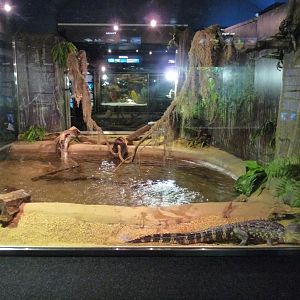 National Aquarium Washington