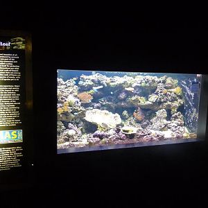 National Aquarium Washington