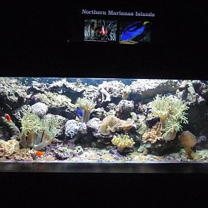 National Aquarium Washington