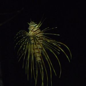 National Aquarium Washington