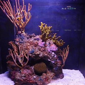 National Aquarium Washington