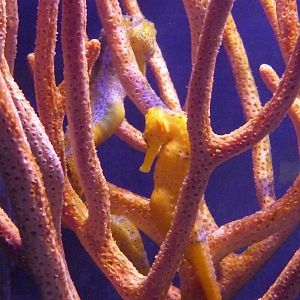 National Aquarium Washington