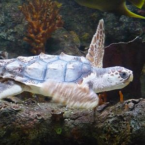 National Aquarium Washington