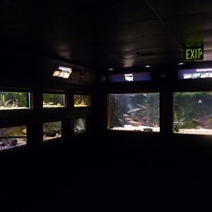 National Aquarium Washington