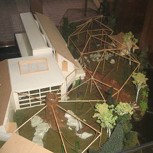 Red Ape Reserve model