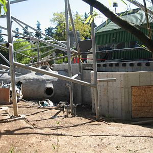 Red Ape Reserve construction