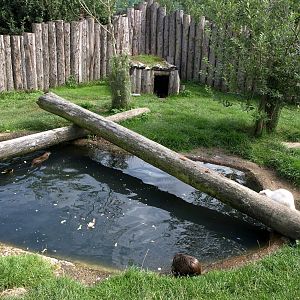 Munkholm Zoo - Nutria exhibit