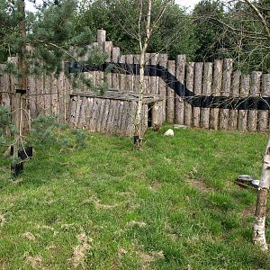 Munkholm Zoo - Agouti exhibit
