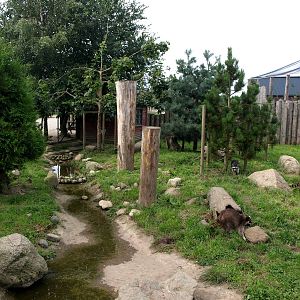 Munkholm Zoo - Raccoon exhibit