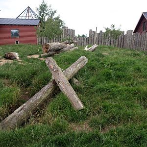 Munkholm Zoo - Porcupine exhibit