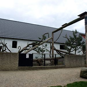 Munkholm Zoo - Coati exhibit