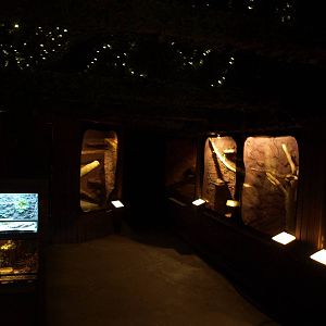 Munkholm Zoo -Terrarium