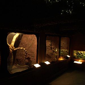 Munkholm Zoo -Terrarium