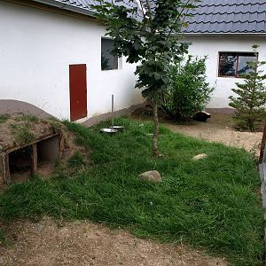 Munkholm Zoo - Skunk exhibit