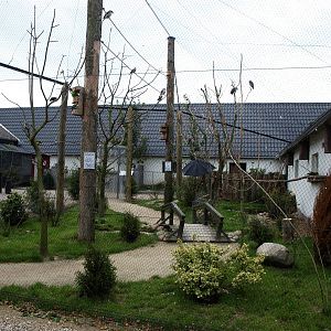 Munkholm Zoo - Walkthrough aviary