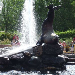 Steller's Northern Sealion