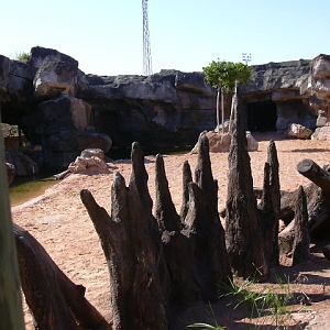 Future hippopotamus exhibit