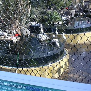 Inside vieuw wetlands aviary