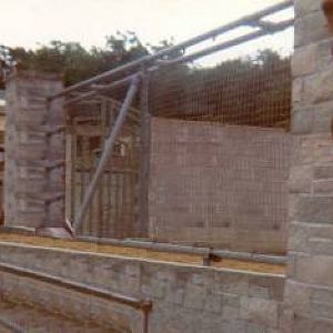 Enclosure view and giraffe head