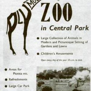 Zoo Advert