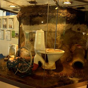 AQUA - Rat exhibit