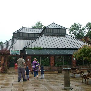 Tropical World 01/08/09