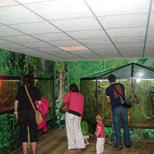 Small animal exhibits at Tropical World 01/08/09