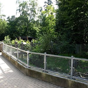 AQUA - Raccoon exhibit