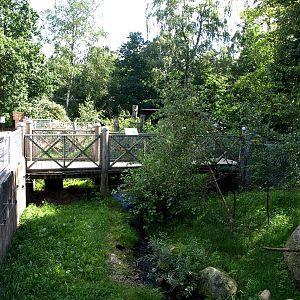 AQUA - Raccoon exhibit