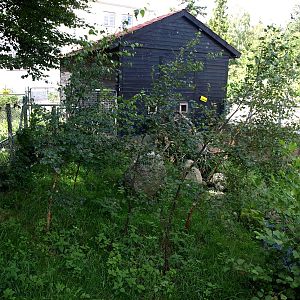 AQUA - Raccoon exhibit