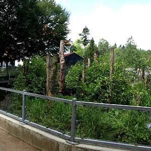 AQUA - Raccoon exhibit