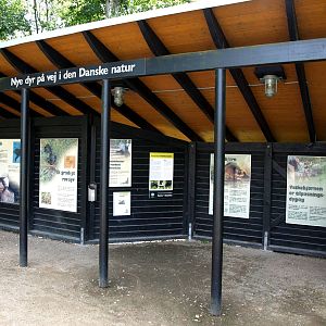 AQUA - Invasive species