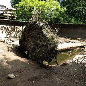 AQUA - Nutria exhibit