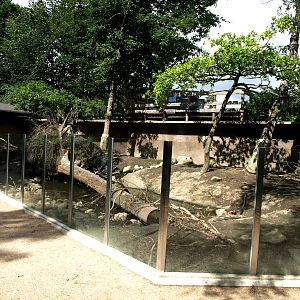 AQUA - Nutria exhibit