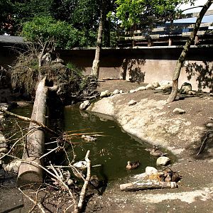 AQUA - Nutria exhibit