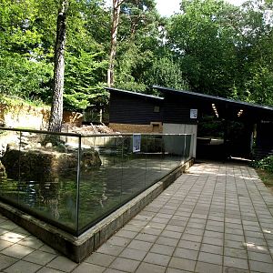 AQUA - Beaver exhibit