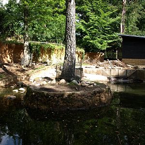 AQUA - Beaver exhibit