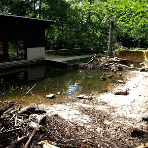 AQUA - Beaver exhibit