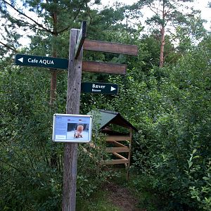 AQUA - Squirrel feeding post