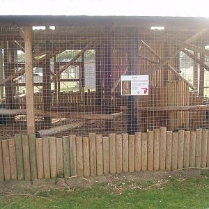 Serval enclosure